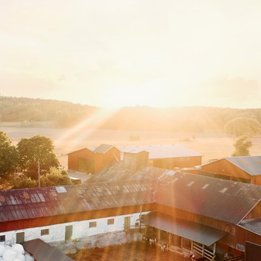 Scan Sverige förvärvar Slaktarkorv